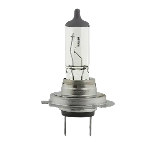 h7 halogen